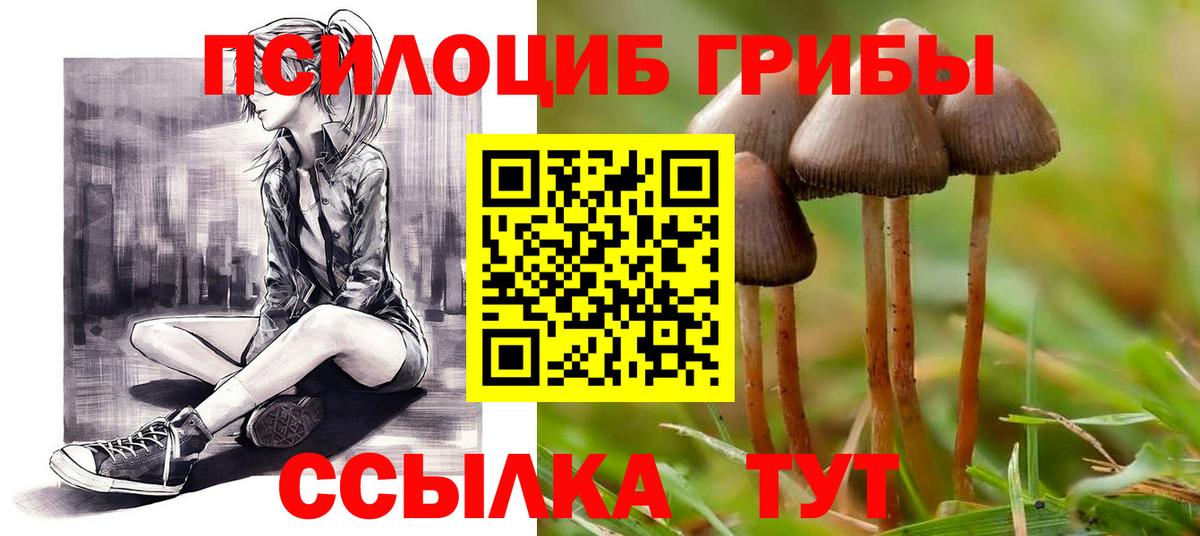Псилоцибиновые грибы Magic Shrooms  Вход с VPN  наркота  Нерюнгри 