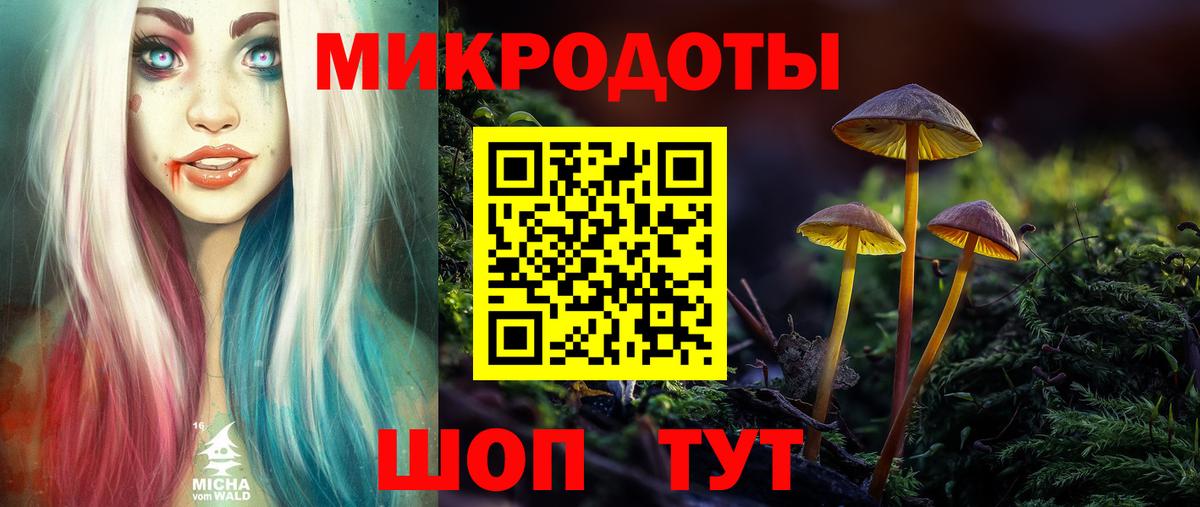 Псилоцибиновые грибы Psilocybine cubensis Нерюнгри